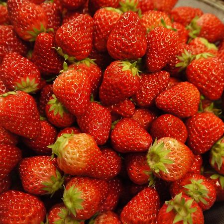 ホテル 伊豆高原 アルシオン 伊東市 エクステリア 写真