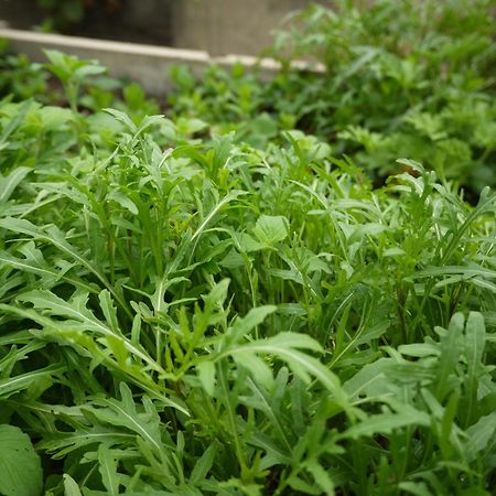 ホテル 伊豆高原 アルシオン 伊東市 エクステリア 写真