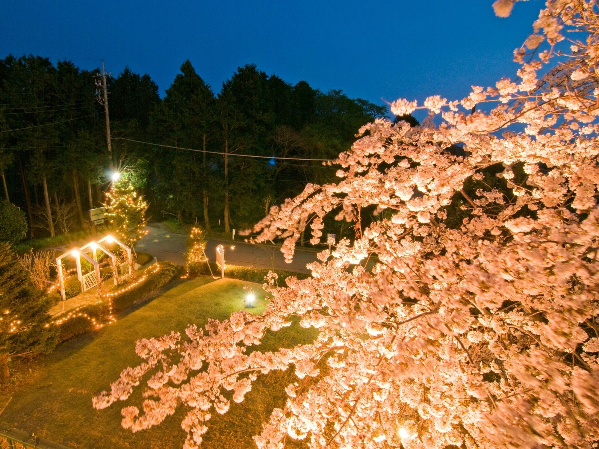 ホテル 伊豆高原 アルシオン 伊東市 エクステリア 写真